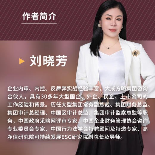 采购审计实务指南 采购审计概述风险高发领域舞弊行为原理分析控制审计流程取证访谈技巧 数字化采购ESG审计管理实务工具书籍 商品图3