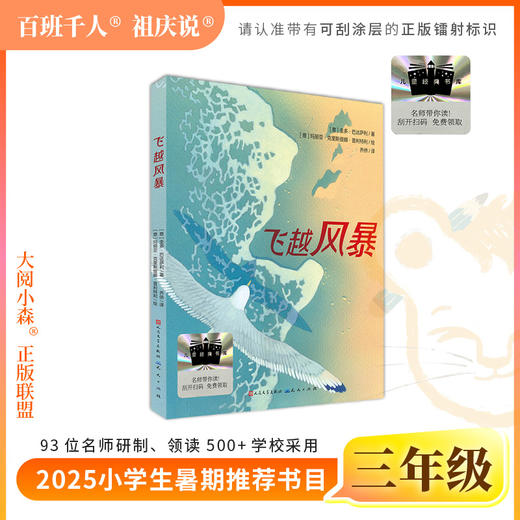 2025年百班千人暑期书目三年级 飞越风暴  名师推荐正版现货 商品图0