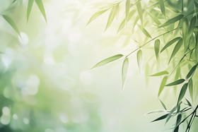 补充精力、润泽肌肤、防脱发，这个小零食适合每天吃