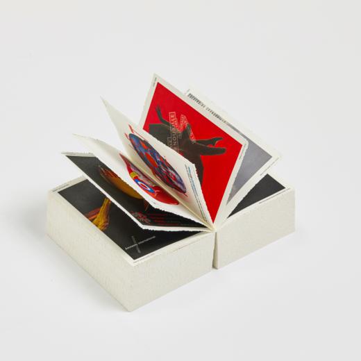 AGI France, Beyond Latitude 商品图6