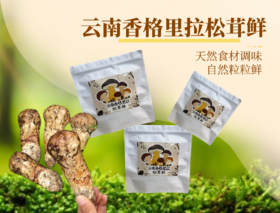 云南香格里拉松茸鲜 固态调味料