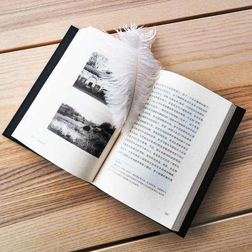 温弗里德·塞巴尔德作品《奥斯特利茨》 《土星之环》《移民》《自然之后》 商品图1