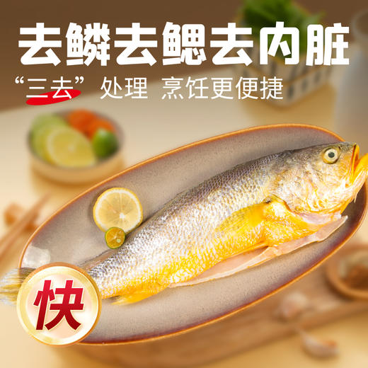 【三去冷冻大黄鱼】三去精品冷冻大黄鱼丨去麟去腮去内脏深水养殖 商品图3