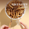 北京同仁堂 锁鲜冬虫夏草 （干虫草）（断草*100克） 商品缩略图3