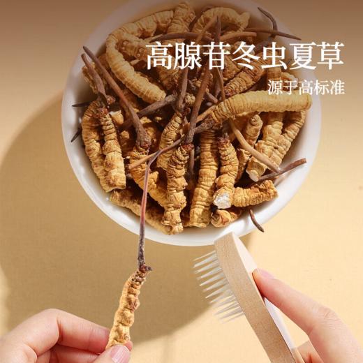 北京同仁堂 锁鲜冬虫夏草 （干虫草）（断草*100克） 商品图3