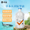 华畜草本五黄精华液500ml 纯中药浓缩液抗菌消炎 保肝利胆提高抵抗力 商品缩略图0