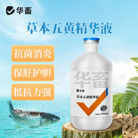 华畜草本五黄精华液500ml 纯中药浓缩液抗菌消炎 保肝利胆提高抵抗力