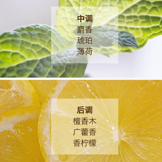 【胖东来断货王 伯纳乌洗护合集，49.9元买1送1】大容量，水润去屑/清盈柔顺洗发水 商品图9