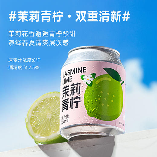 斑马精酿山楂/柚子/百香果/海盐荔枝/金桔血橙/茉莉青柠/柠檬沙瓦啤酒250ml*24罐 商品图5