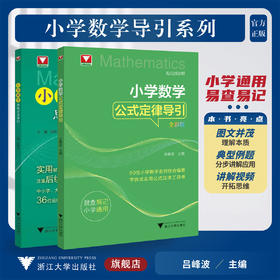 小学数学导引系列
