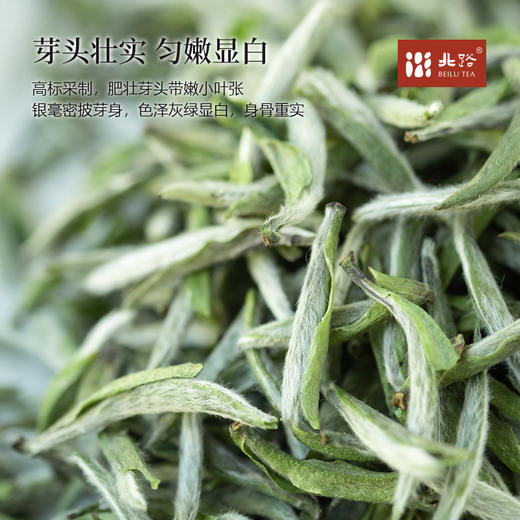 「北路白茶」老树牡丹王 福鼎白茶白牡丹2025年新茶茶叶礼盒装300g 商品图1