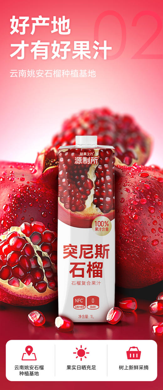 【源制所】突尼斯石榴汁果蔬汁·2瓶·清甜爽口·果香浓郁·鲜榨诱人 商品图2