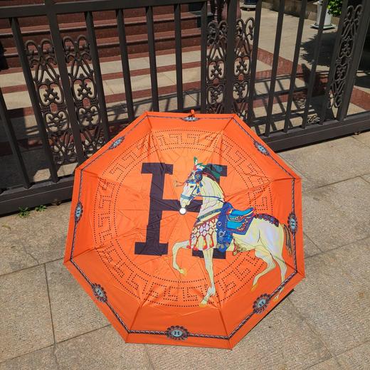 F664极品h家自动伞自动睛雨伞太阳伞/雨伞 商品图2