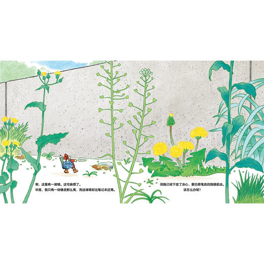 2025年百班千人暑期书目一年级 如何越过这堵墙？  名师推荐正版现货 商品图3