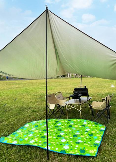 西屋Westinghouse野餐垫 商品图0