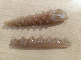 白水海参拨筋棒