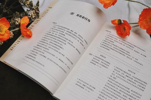 万千心理·成人心理治疗计划（原著第六版） 商品图5