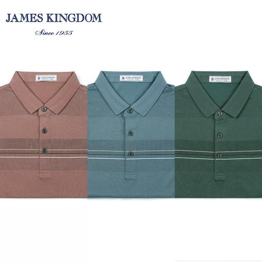 占姆士男士商务休闲翻领短袖POLO衫  一款三色  灰兰&绿色&粉红 商品图0