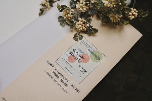 万千心理·成人心理治疗计划（原著第六版） 商品图4