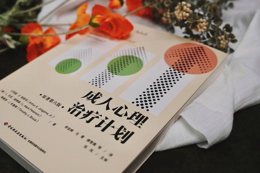 万千心理·成人心理治疗计划（原著第六版） 商品图2