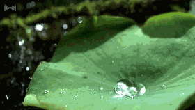 这些家居 黑科技 ,本以为是鸡肋,结果是真香,庆幸早点发现