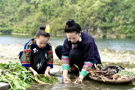 「洗的舒服」贵州苗族非遗正秀洗发水 | 千年养发纯古方植萃 商品图4