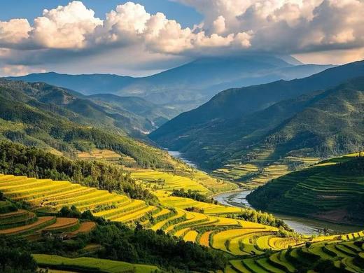 「洗的舒服」贵州苗族非遗正秀洗发水 | 千年养发纯古方植萃 商品图8