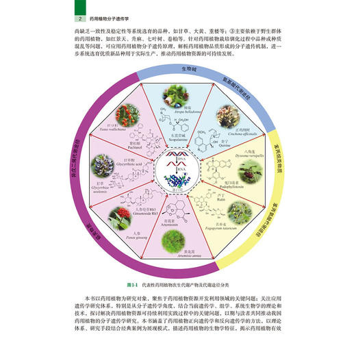 药用植物分子遗传学 陈士林 主编 本教材供5年制和5+3中医类 包括中医学中医骨伤科学及中医康复学等 专业等学生使用 科学出版社 商品图4