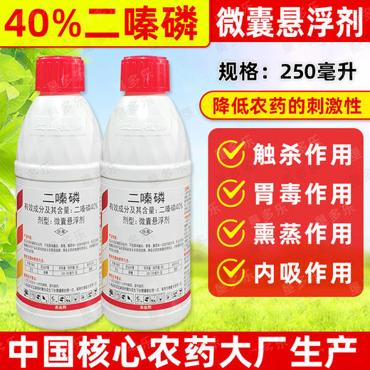 利宝生40%二嗪磷微囊悬浮剂专杀花生地下害虫蛴螬缓释熏蒸杀虫剂 商品图3
