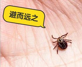 【科普】山野徒步安全必备！10条远离虫蛇威胁的有效策略