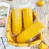 粮全其美水果玉米 商品缩略图6