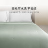 【ROYALCOVER】罗卡芙 西西里婴幼儿级A类可水洗100%桑蚕丝空调夏被 商品缩略图3