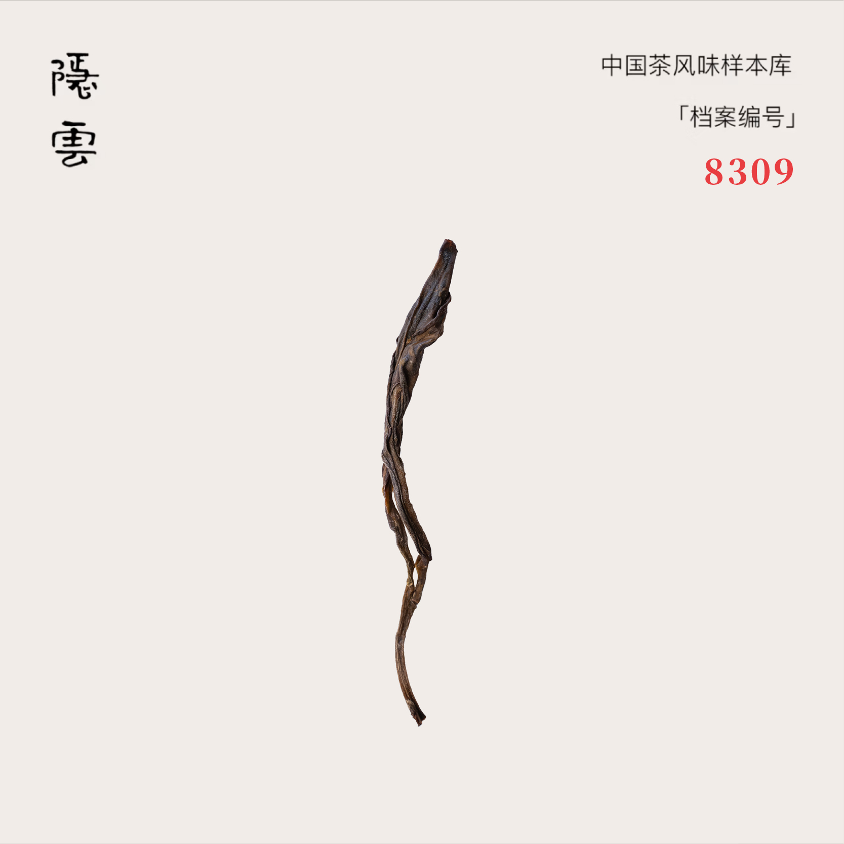 凝珀｜2023桂花香单丛