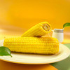 粮全其美黄糯玉米200g 商品缩略图4