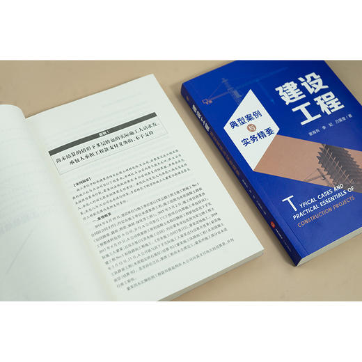 建设工程典型案例与实务精要 袁海兵 李妃 乃露莹著 法律出版社 商品图3