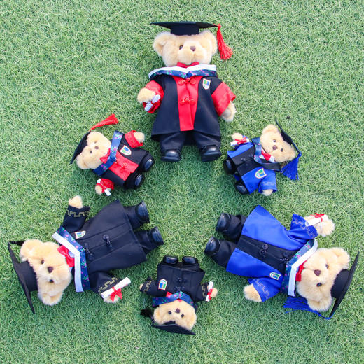 学位服小熊挂件玩偶 商品图4