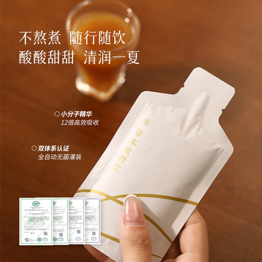 [屁侠推荐]五指毛桃藿香饮 五指毛桃黄皮百合藿香薄荷体质调理草本饮料 解暑  商品图5