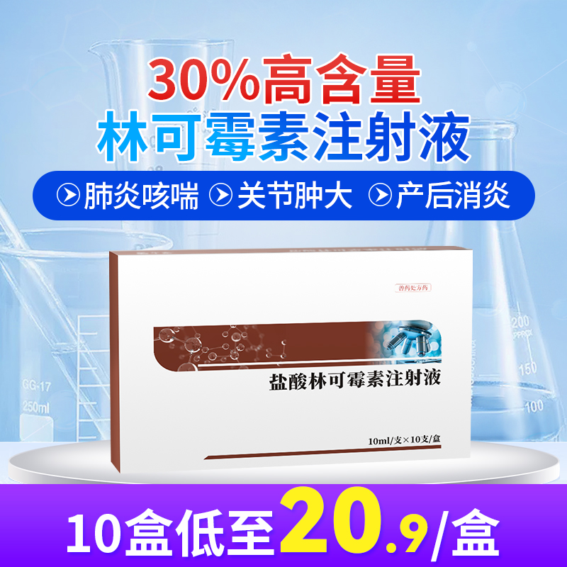 华畜 30%林可霉素注射液10ml*10支 肺炎咳喘 关节肿大 仔猪黄白痢