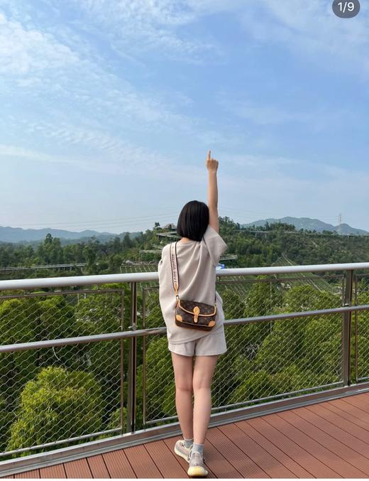 D061826新款法棍包老花腋下包单肩斜跨女包 商品图3