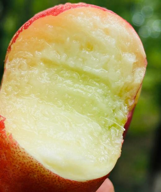 疆山蜜蟠桃|新疆产纽扣蟠桃，QQ萌萌的😋一咬蜜汁滴得到处都是，水润、糯滑、蜜甜、香郁、回味，简直蜜罐子，实在太好吃了～ 商品图3