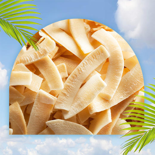 【原味椰子片】甄选泰国南部优质椰子 非油炸膨化 原浆浸泡 纯真椰香，自然滋味AA 商品图3