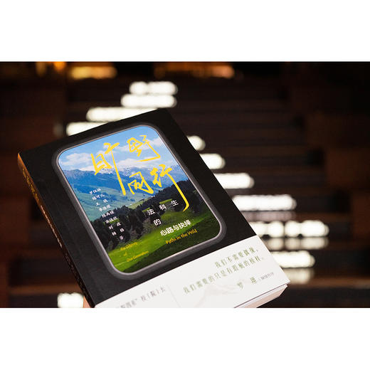 [罗翔作序推荐] 旷野同行：法科生的心路与抉择 令人心动的offer 罗仪涵 陈可儿 王骁 李浩源 陈禹橦 宋佳欣 刘政 杨格著 法律出版社 商品图10