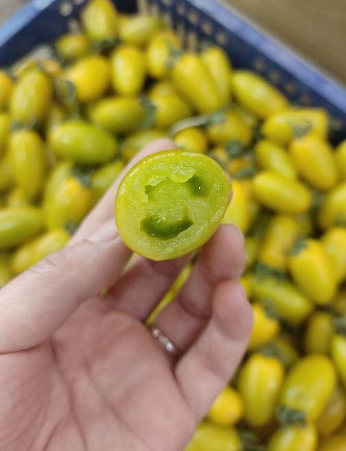 金千禧柿子2斤 商品图1