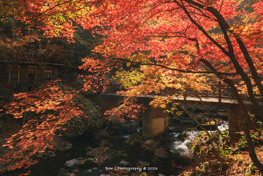 东北红叶盛宴丨四方顶子、本溪（老边沟&大石湖）、“中华枫叶大道”、科尔沁五角枫7天摄影团 商品图10