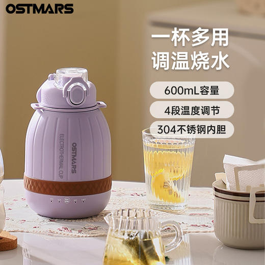 【电热水杯】便携式烧水杯 烧水壶旅行用户外小型电煮杯 304不锈钢内胆 商品图3