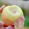 陕西露天粉黛水蜜桃【老树头茬好货，顺丰发货】 商品缩略图4
