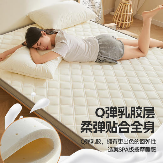 自然醒艾棉乳胶记忆棉立体床垫单双人加厚床褥家用学生宿舍软垫棉垫子LN 商品图4