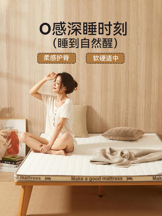 自然醒抗菌防螨针织棉25D高密度海绵填充立体床垫学生宿舍单人租房专用榻榻米垫LN 商品图1