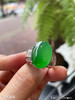 高冰种阳艳绿蛋面戒指【3190606】具体价格微信咨询 商品缩略图3