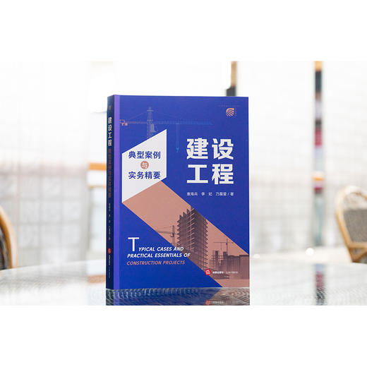 建设工程典型案例与实务精要 袁海兵 李妃 乃露莹著 法律出版社 商品图4
